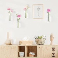 Mkono Propagation Station Wall Planter Hanging Glass Tubes Flower Vase For Hydroponics Plants Bathroom Home Office Living Room