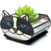 Entlityful Cactus Black Cat Planter Cute Small Stained Glass Cat Planter Cat Terrarium Planter For Tabletop Houseplants Gifts F