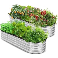 Utopia Home 2 Pack Galvanized Raised Garden Bed 6Ft X 2Ft Lightweight Planter Boxes Outdoor With Easy Assembly Large Garden Be