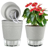 Qrrica Plant Pots 6 Inch Self Watering Pots  5 Pack Flower Pots Outdoor Indoor  Planters With Drainage Hole And Tray Saucer-Gray