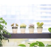 Yffsrjdj Succulent Planter 4 Inch  Succulent Pot With Drainage Holes  Saucers And Mesh Pads For Indoor Plants  Ceramic Pot For Indoor Plants- Set Of 4