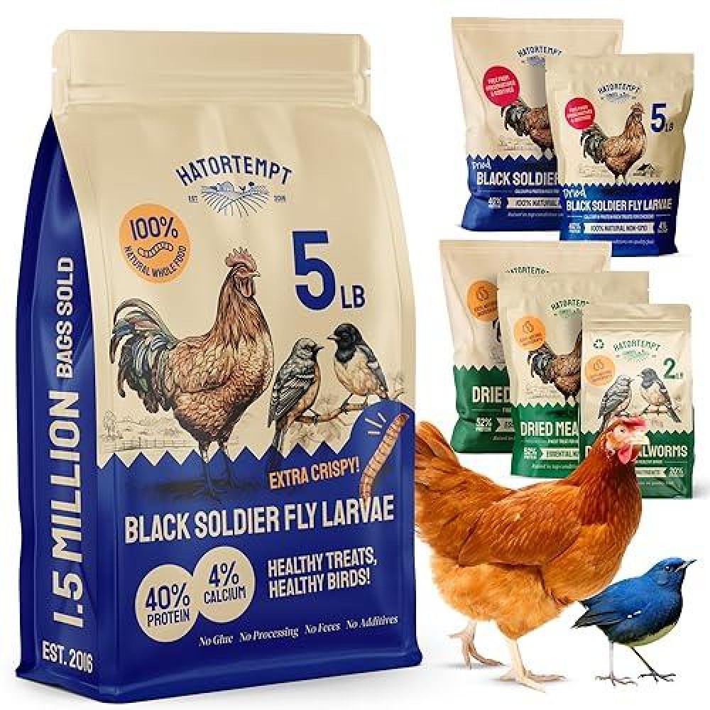 Hatortempt Black Soldier Fly Larvae For Chickens 5Lb Nongmo Treat With More Calcium Than Mealworms Organic Dried Bsf Larva