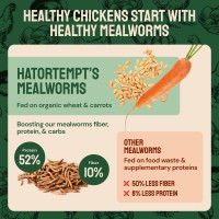 Hatortempt Bulk Dried Mealworms 8 Lbs Premium Organic Nongmo Dried Mealworms For Chickens High Protein Chicken Feed Meal Wo