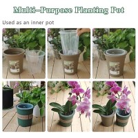 Pavtner Orchid Pot 6 Pack 5.5 Inch  Orchid Pots For Repotting  Plastic Clear Orchid Pots With Holes  Flower Planter Pot Indoor Outdoor  Orchids Planter