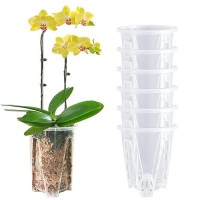 Pavtner Orchid Pot 6 Pack 47 X 56 Plastic Clear Orchid Pots With Holes Orchid Pot For Repotting Sturdy Deep Flower Plant