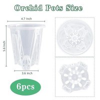 Pavtner Orchid Pot 6 Pack 47 X 56 Plastic Clear Orchid Pots With Holes Orchid Pot For Repotting Sturdy Deep Flower Plant