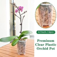 Pavtner Orchid Pot 6 Pack 47 X 56 Plastic Clear Orchid Pots With Holes Orchid Pot For Repotting Sturdy Deep Flower Plant