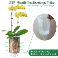 Pavtner Orchid Pot 6 Pack 47 X 56 Plastic Clear Orchid Pots With Holes Orchid Pot For Repotting Sturdy Deep Flower Plant