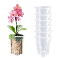 Pavtner Orchid Pot  3.9 4.7 5.5 6.3 Inch 6 Pack Orchid Pots With Holes Sturdy Clear Plastic Orchid Pot For Repotting  Flower Plant Pot For Orchids Planter(3.9Inch)