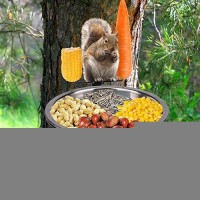 Dealsgogo Removable Squirrel Feeders For Outside - Metal Squirrel Feeder For Feed Corn  Squirrel Gifts - Easy To Install The Squirrel Picnic Table Feeder And Chipmunk Feeder