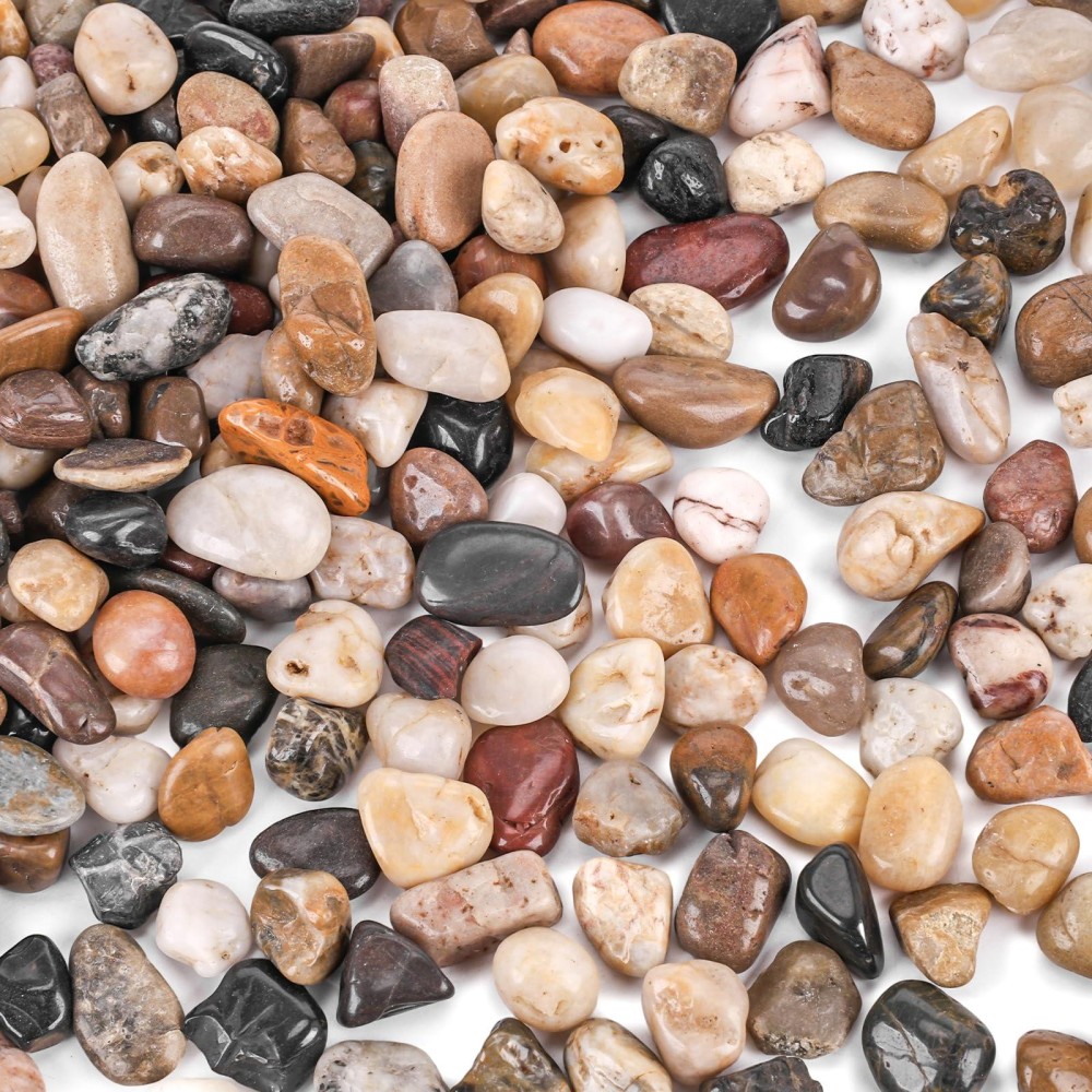 Domestar 2Lb Mixed Color Polished Pebbles Natural Decorative Smooth River Rocks Gravel Small Pebble Stones For Succulent Bonsai