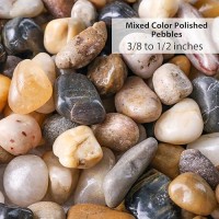 Domestar 2Lb Mixed Color Polished Pebbles Natural Decorative Smooth River Rocks Gravel Small Pebble Stones For Succulent Bonsai