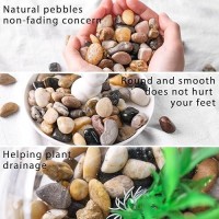 Domestar 2Lb Mixed Color Polished Pebbles Natural Decorative Smooth River Rocks Gravel Small Pebble Stones For Succulent Bonsai