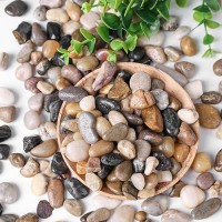 Domestar 2Lb Mixed Color Polished Pebbles Natural Decorative Smooth River Rocks Gravel Small Pebble Stones For Succulent Bonsai