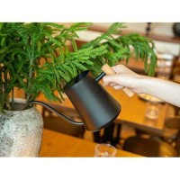 Green Moon Water Can Indoor Plant Black 35Oz With Long Spout Mini Water Can Indoor Metal Watering Can Pot For Indoor House Plant Bonsai Outdoor Garden Flowers Modern Decorative