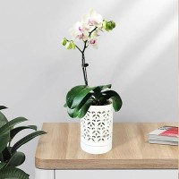 Pavtner Orchid Pots With Holes 4 Inch Ceramic Orchid Pot For Repotting  Flower Planter Pot Indoor Outdoor  Breathable Slotted Orchids Planter White