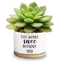 Lasimfa Life Would Succ Without You White Ceramic Succulent Planter Pots Cactus Flower Funny Planter Pots For Plant Lover Birth