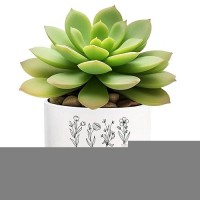 Lasimfa Thank You For Helping Me Grow Ceramic Succulent Funny Planter Pots For Plant Lovers Teacher Birthday Christmas Thanksgiving Gift  3.6 Inch (Plant Not Included)