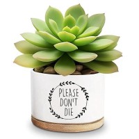 Lasimfa Please Dont Die Ceramic Succulent Planter Pots Cactus Flower Funny Planter Pots For Plant Lovers Friends Friends Birth