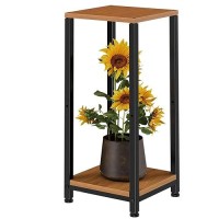 Simple Trending Plant Stand Indoor Corner Tall 2 Tier Metal Modern Flower Plant Shelf Holder  Heavy Duty Wood Storage Stand (2 Tier-Black)