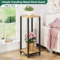 Simple Trending Plant Stand Indoor Corner Tall 2 Tier Metal Modern Flower Plant Shelf Holder  Heavy Duty Wood Storage Stand (2 Tier-Black)