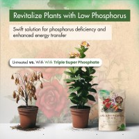 Triple Super Phosphate 0460 Fertilizer High Phosphorus Fertilizer For Stronger Roots Flower Formation Ideal Super Phosphat