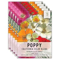 Seed Needs California Poppy Seeds 2 000 Heirloom Seeds For Planting Eschscholzia Californica Mixed Colors Attracts Butterfl