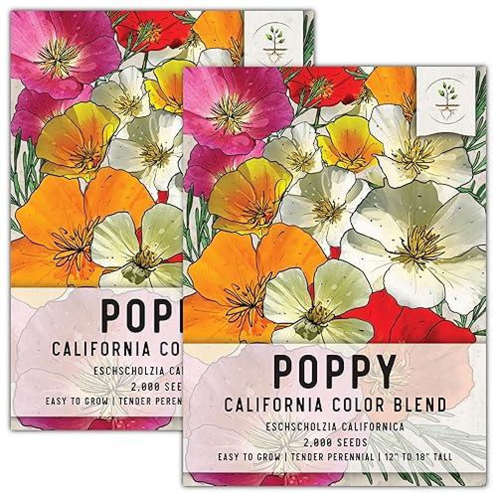 Seed Needs California Poppy Seeds 2 000 Heirloom Seeds For Planting Eschscholzia Californica Mixed Colors Attracts Butterfl