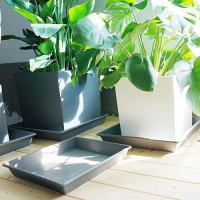 Nimyau Square Plant Saucer 12 Inch 5 Pack Plant Stand Plant Trays For Pots Heavy Duty Gray Plastic Plant Saucers For Indoors Ou