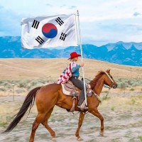 3X5 South Korea Flag Outdoor Double Sided Vivid Color South Korean Country Flags Heavy Duty 210D Nylon Cloth With 2 Brass Grommets 4 Rows Of Stitches