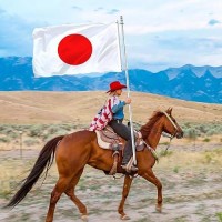 3X5 Japan Japanese National Flag Outdoor Double Sided Vivid Color Japanese Country Flag Heavy Duty 210D Nylon Cloth With 2 Brass Grommets 4 Rows Of Stitches