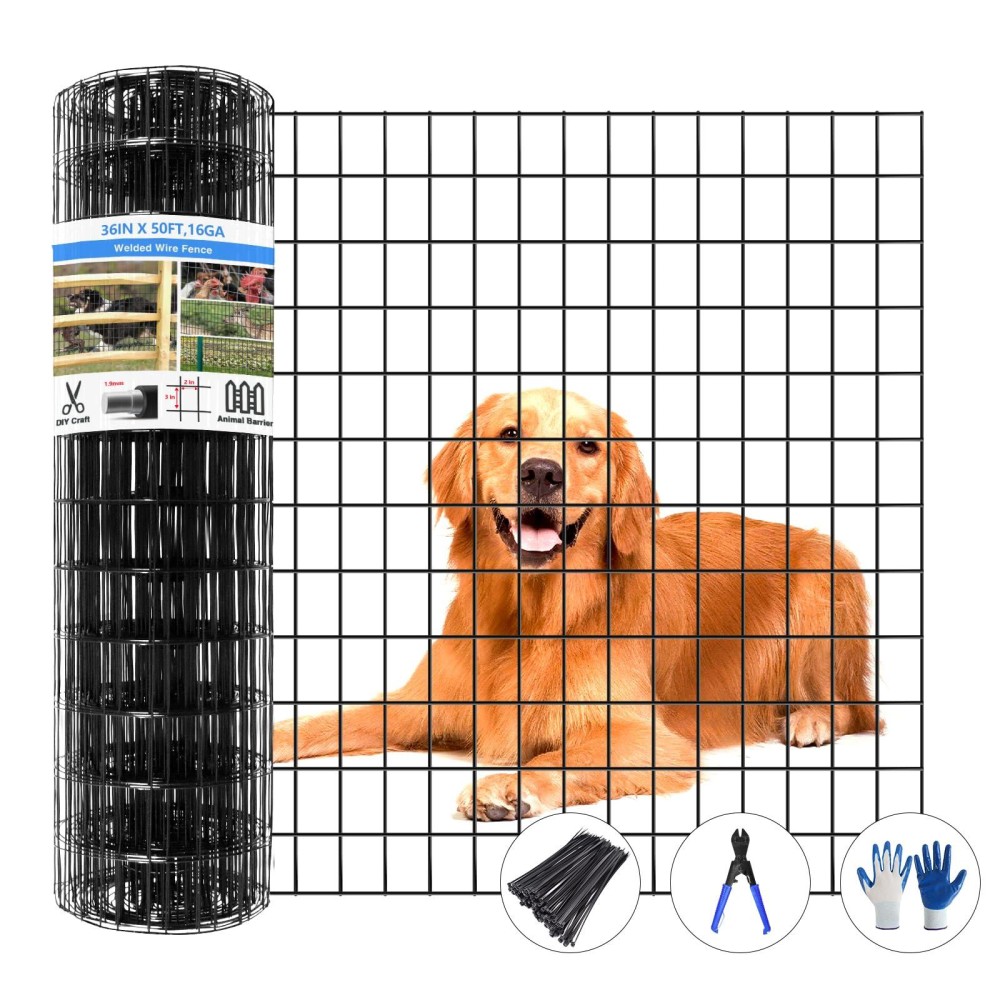 Gilpwa Welded Wire Fence 50Ftl X 36Inchh Pvc Coated Wire Fencing For Dog 2 Inch X 3 Inch 16Ga Fencing For Chicken Antiru