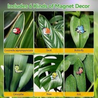 Plant Magnets Insects For Potted Plants 6 Pcs Cute Magnetic Plant Eyes With Cartoon Insects Funny Plants Pins For Indoor Outdo