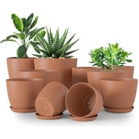 Utopia Home Plant Pots Indoor With Drainage 76665348 Inches Home Decor Flower Pots For Indoor Planter Plastic Plant