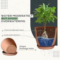 Utopia Home Plant Pots Indoor With Drainage 76665348 Inches Home Decor Flower Pots For Indoor Planter Plastic Plant