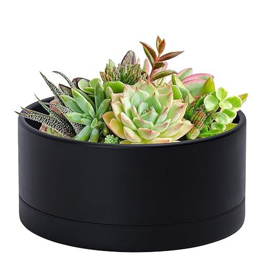 Dvine Dev 10 Inch Plastic Shallow Planter Large Round Succulent Plant Pot With Drainage Hole And Sauce Decorative Bonsai Pot