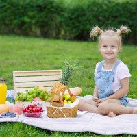 Granny Says Small Picnic Basket For Children Small Basket With Folding Handle Dualflid Lid Natural Woodchip Basket Woven B