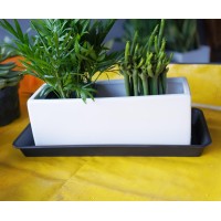 Vuwez 4 Pack Of Plastic Plant Tray Saucer Rectangular 16 Inch Plant Trays Saucers For Indoors Outdoor Plant Water Drip Tray Fo