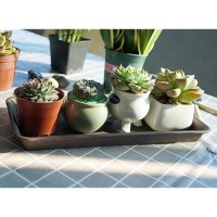 Vuwez 6 Pack Of Plastic Plant Tray Saucer Rectangular 14 Inch Plant Trays Saucers For Indoors Outdoor Plant Water Drip Tray Fo