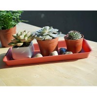 Vuwez 6 Pack Of Plastic Plant Tray Saucer Rectangular Plant Trays Saucers For Indoors Outdoor Plant Water Drip Tray For Flower