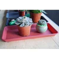 Vuwez 6 Pack Of Plastic Plant Tray Saucer Rectangular Plant Trays Saucers For Indoors Outdoor Plant Water Drip Tray For Flower