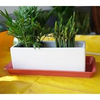 Vuwez 6 Pack Of Plastic Plant Tray Saucer Rectangular Plant Trays Saucers For Indoors Outdoor Plant Water Drip Tray For Flower