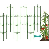 Halatool 6 Pack Tomato Cages For Garden Up To 48In4Ft Adjustable Tomato Cage Garden Stakes Tomato Trellis For Pots Tomato Plan