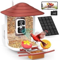 Birdsnap Tuc Smart Bird Feeder With Camerasolar Panel Sd Card 4In1 Perch 160View 1080P Auto Detect Notify Ai Identify 10