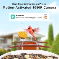 Birdsnap Tuc Smart Bird Feeder With Camerasolar Panel Sd Card 4In1 Perch 160View 1080P Auto Detect Notify Ai Identify 10