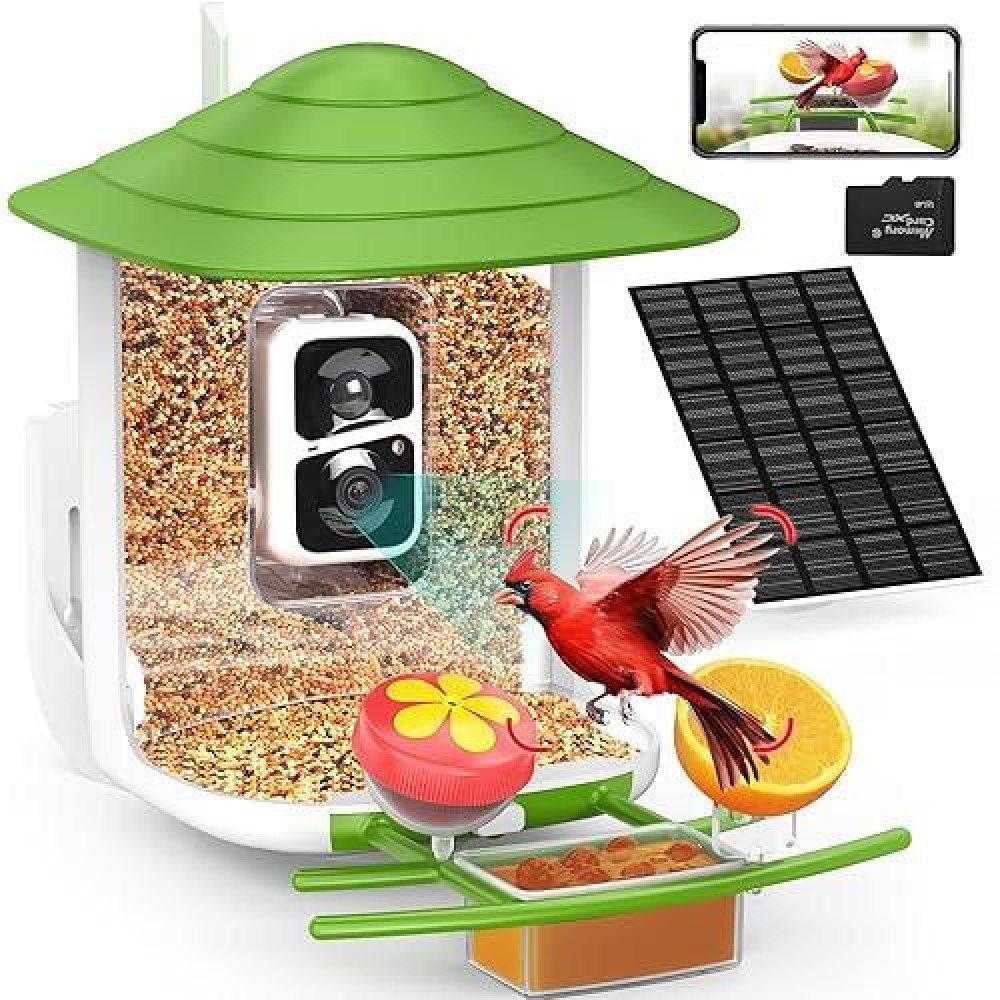 Birdsnap Tuc Smart Bird Feeder With Camerasolar Panel Sd Card 4In1 Perch 160View 1080P Auto Detect Notify Ai Identify 10