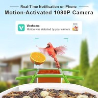 Birdsnap Tuc Smart Bird Feeder With Camerasolar Panel Sd Card 4In1 Perch 160View 1080P Auto Detect Notify Ai Identify 10