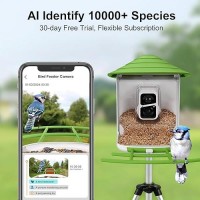 Birdsnap Tuc Smart Bird Feeder With Camerasolar Panel Sd Card 4In1 Perch 160View 1080P Auto Detect Notify Ai Identify 10