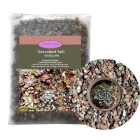 Mix Horticultural1.5Lbs Lava Rocks Mixed Potting Soil For Plants Bonsai Succulents And Cacti Soil Decoration Gravel Volcanic Pumice Stones For Terrarium  Top Dressing  Fairy Gardening