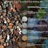 Mix Horticultural1.5Lbs Lava Rocks Mixed Potting Soil For Plants Bonsai Succulents And Cacti Soil Decoration Gravel Volcanic Pumice Stones For Terrarium  Top Dressing  Fairy Gardening